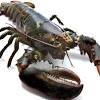 How long do i broil a 5 oz lobster tail for? 1