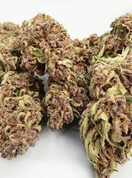 Sour Diesel CBD Budget Hemp Flower (8-13% CBD) – HempElf.com