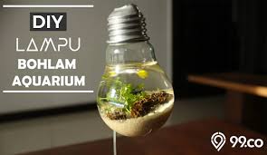 Cara membuat kreasi aquarium mini dari bohlam lampu bekas. Cara Membuat Aquarium Bohlam Untuk Ikan Mini Seru Nih