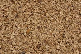 Is Eating Wood Chips Dangerous For My Dog