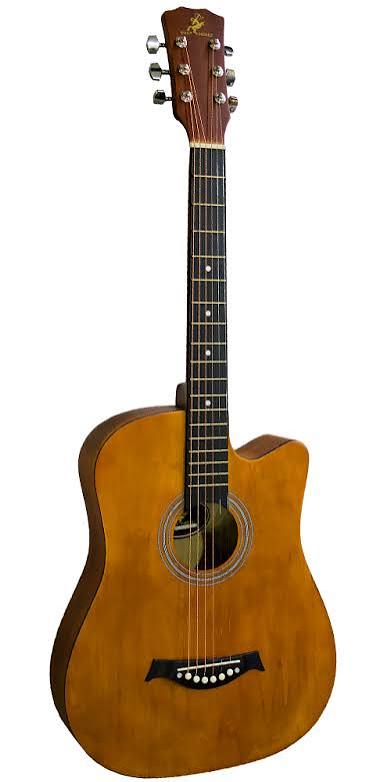 Acoustic Guitars