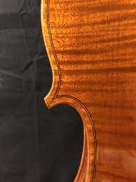 naoya takahashi violin shimanto 2019 ヴァイオリン バッタ 高橋