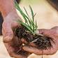 Farm walk with Tim May at Kingsclere Estates event image