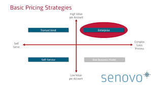 learnings from b2b enterprise saas pricing strategies