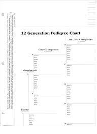 12 Generation Pedigree Chart
