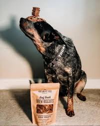 Increasing financial stability is contributing to an increase in. Portland Pet Food Company On Twitter It S National Train Your Dog Month And We Think Tucker The Bluey Could Share Some Tips With Our Dogs Will Your Dog Do Tricks For Treats Take A