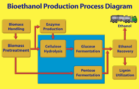 Bioethanol Bioethanol Vs Biodiesel