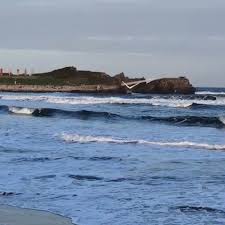 Find restaurants near you from 5 million restaurants worldwide with 760 million reviews and opinions from tripadvisor travelers. Salinas Longboard Festival Pagina Inicial Facebook