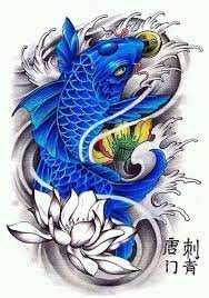 Cá chép vàng là giống cá cảnh được các gia đình lựa chọn nhiều nhất hiện nay. Color Koi Fish Tattoo Novocom Top