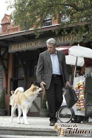 Hachiko And Parker Hachiko Hachiko Movie Perro Akita