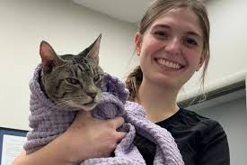 Fundraiser by Cody Ayola : Help the Trailer Cats from the Treasure Valley  Cat Angels!