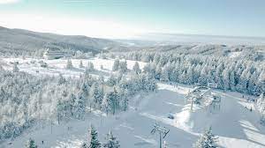 The washington post also points out that while zima was actually able to snag a remarkable 1 percent share of the national alcohol market in its first year, it didn't quite go out in a blaze of. Polski Zima 2 0 Zieleniec Ski Arena