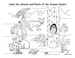 Farm animals and farm theme coloring pages suitable for toddlers, preschool and kindergarten, related activities and crafts. Arizona Desert Animals Coloring Desert Animals Animal Coloring Pages