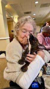 Because they exude calmness too? What a wonderful way to socialize pups and  brighten the residents' day!