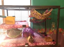 See more of ferret hammocks on facebook. Rat Hammocks The Rat Lady