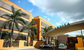 Check spelling or type a new query. Anvisa Solicita A Pfizer Informacoes Sobre Terceira Dose Da Vacina