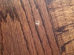 How To Repair A Gouged Wood Floor Wood Floor Repair Flooring Wood Floors