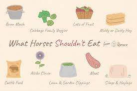 Things A Horse Shouldn T Eat