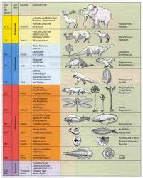 Epochen Der Erdgeschichte Erdgeschichte Erdzeitalter Geschichte
