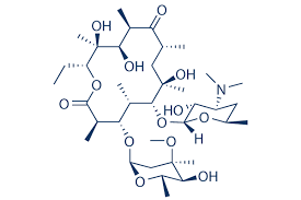 Image result for Erythromycin