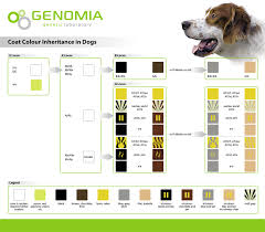 genomia coat color dogs