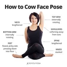 Doyouyoga Online Yoga Fitness And You Cow Face Pose Basic Yoga Yoga Asanas