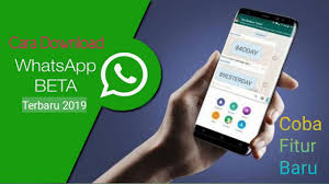 Cara Download Whatsapp Beta Terbaru 2019 Youtube