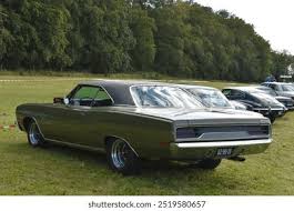 Image result for Ivy Green 1970 Satellite