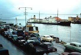 Image result for Galeomma