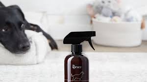 To remove light stains and odors, apply an even layer. The 11 Best Eco Friendly Carpet Cleaners Of 2021