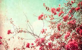 Free download high quality wallpapers gorgeous images. Vintage Flowers Computer Wallpaper