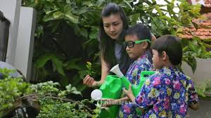 Berkebun dengan menanam sayuran di rumah bukan hal yang mustahil loh. Nikmati Panen Cepat Dari Hasil Berkebun Saat Di Rumah Aja Yuk Tanam 7 Jenis Sayuran Ini Tribunnews Com Mobile