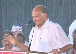From wikimedia commons, the free media repository. Maharashtra Polls Sharad Pawar Addresses Rally In Satara Amid Heavy Rain Elections News