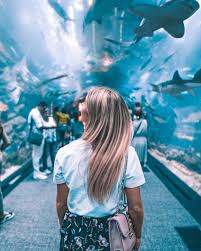 Dubai Underwater Zoo Dubai Holidays Dubai Aquarium Instagram Places