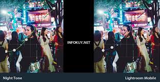 Selama tidur nyenyak, tubuh kita memproduksi hormon antidiuretik. Rumus Lightroom Night Tone Efeknya Beda Infokuy