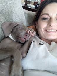 My baby boy 🐶🤎 his name is Dyno btw