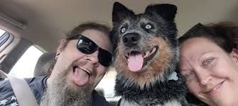 Is my long haired heeler purebred?