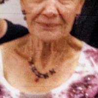 Micheline J. Zinante