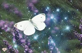 Ves Una Mariposa Blanca El Significado Simbolico Y Espiritual Test Y Quiz