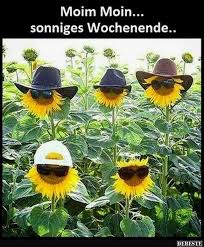 Schones Wochenende Bilder Auf Spanisch Schones Wochenende Bilder Lustige Bilder Sonntag Bilder Lustig