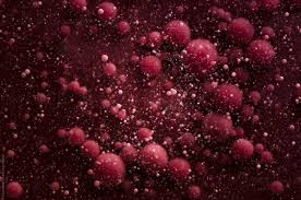 A single yeast cell is typically about 3 to 4 micrometers in diameter but there are some species that can grow to be much larger, around 40 micrometers. Red Blood Cells Under Microscope By Cosma Andrei