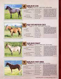 Here is a premier 2,596± acre south texas hunting and recreational ranch with incredible amenities in place. Rocking Heart Ranch 2015 Colt Starting Challenge And Sale By Coyote Publishing Ltd Issuu