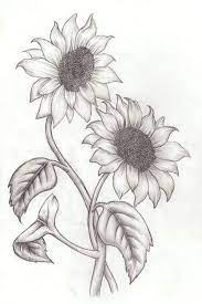 Easy drawing ideas there are many approaches and methods that you can use to develop different drawing ideas and techniques. 50 Easy Flower Pencil Drawings For Inspiration Pencil Drawings Of Flowers Sunflower Sketches Sunflower Drawing