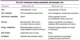 cell the basic unit of life with diagram