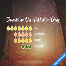 Sunshine On A Winter Day Essential Oil Diffuser Blend Essential Oils Aromatherapy Essential Oil Diffuser Recipes Oil Diffuser Blends