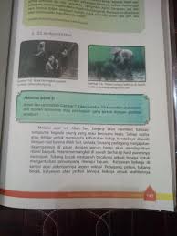 Kunci jawaban evaluasi bab 5 pkn kelas 11.pada semester 2 ini diharapkan kepada semua siswa untuk lebih giat lagi dalam belajar. Buat 5 Pertanyaan Dari Buku Paket Agama Kelas 9 Hal 145 B Q S An Najm 53 39 42 Amp Hal 147 Brainly Co Id