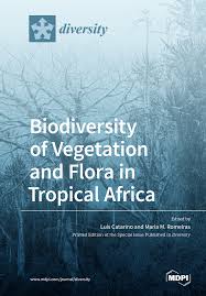 Image result for Sorindeia katangensis