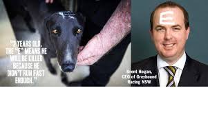 Greenhounds is the sole nsw body. Petition Brent Hogan Ceo Of Greyhound Racing Nsw Grnsw Step Down And Stop Killing Thousands Of Greyhounds Change Org