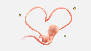 Disarankan membaca yaa hasiib 7 kali, setiap selesai sholat wajib (sambil mengelus perut). 13 Cara Agar Anak Mengenal Islam Sejak Dalam Kandungan Dalamislam Com