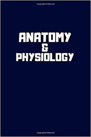 Here are some of the best cover letter examples, including one submitted to us at hubspot. Anatomy Physiology Single Subject Notebook For School Students 6 X 9 Letter Size 110 Pages Graph Paper Soft Cover Notebook For Schools Notebooks School 9781079227499 Amazon Com Books